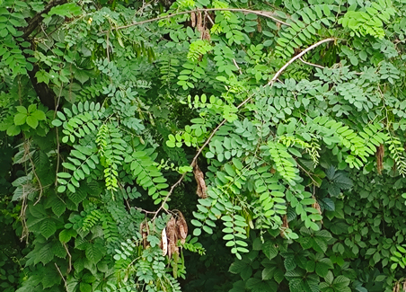 沈陽崗位外包和沈陽勞務(wù)外包的區(qū)別