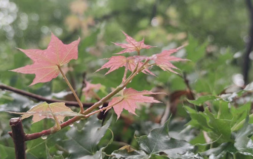 在職場上,長得好看,真的能當飯吃嗎?為你揭秘拉開職場差距的真正原因!!!