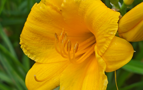 遼寧省機(jī)關(guān)事業(yè)單位為什么招聘這么多勞務(wù)派遣人員？