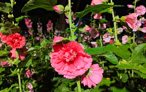 沈陽(yáng)勞務(wù)派遣帶您了解企業(yè)常見(jiàn)的用工方式有哪些？