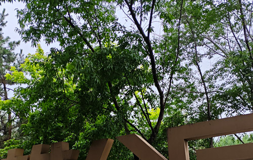 沈陽人事代理服務(wù):簡化人力資源管理的秘訣