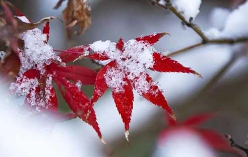 沈陽人事代理有哪些好處？