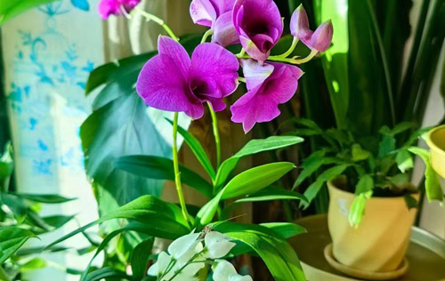 沈陽(yáng)勞務(wù)工傷外包的多種模式探討